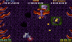 Battle Squadron: The Destruction Of The Barrax Empire