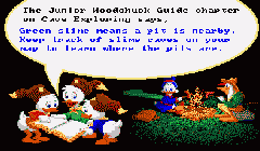 Duck Tales: The Quest for Gold