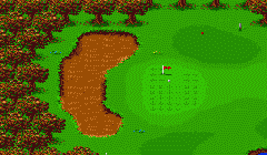 Sensible Golf