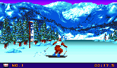 Winter Olympics