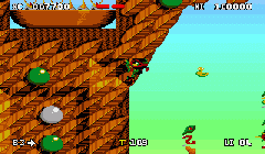 Zool 2